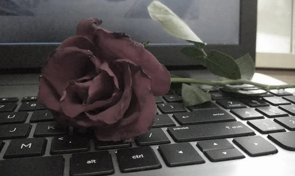 computer keyboard with roses and a laptop