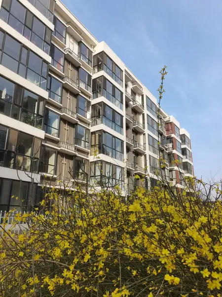 modern apartment building with yellow and green leaves