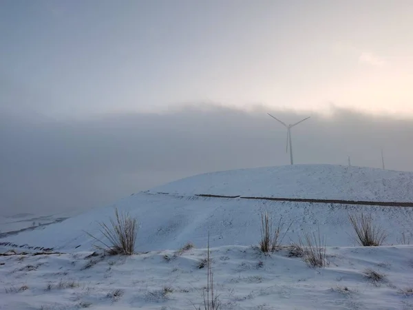 wind turbines in the snow