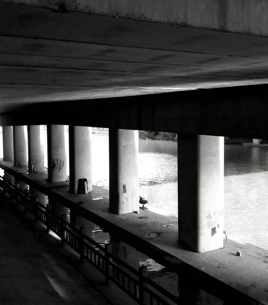 black and white photo of a bridge