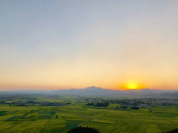 beautiful landscape with a field of tea and a mountain range