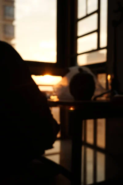 silhouette of a woman with a book on the background of the window