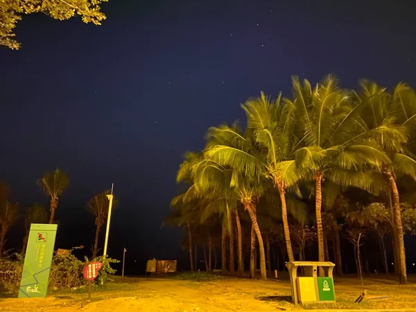 night view of the city of the island of the new year