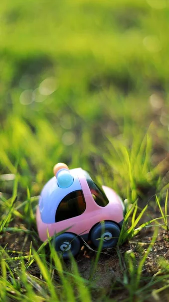 toy car on green grass