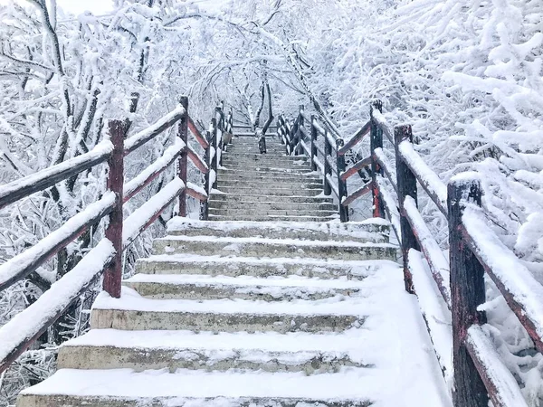 stairs in the snow.