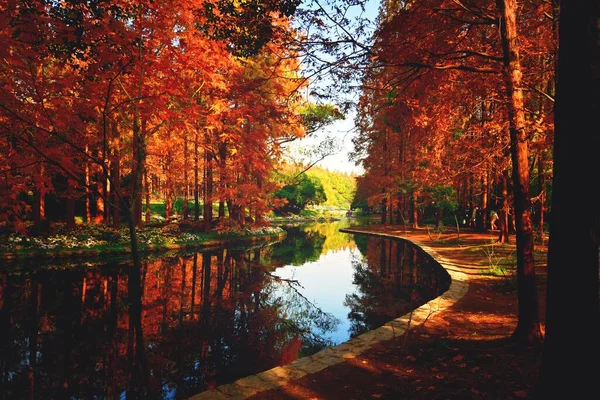 autumn landscape with trees and reflections