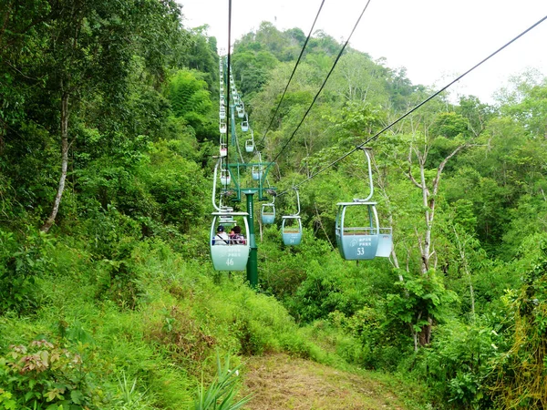 cable car in the forest