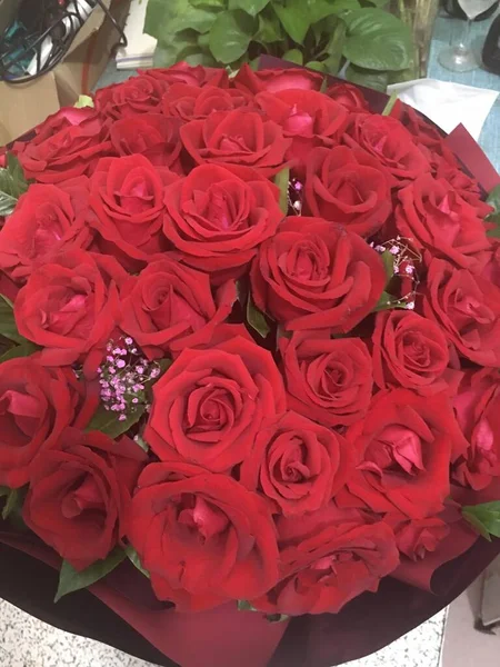 red roses in a flower shop