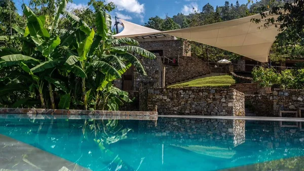 swimming pool with green plants and blue sky