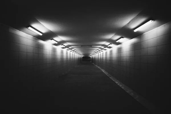 empty underground tunnel with lights and light effects. 3d rendering