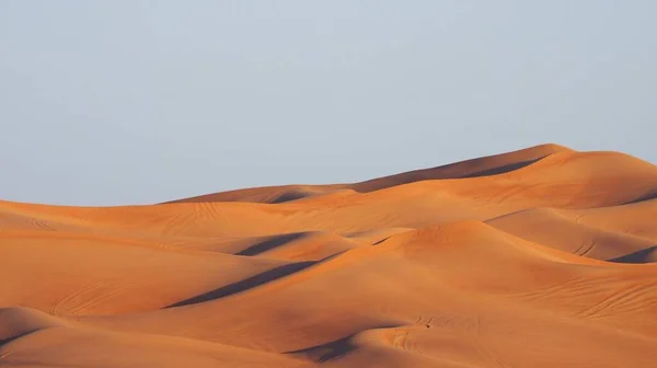 beautiful view of dunes in the desert