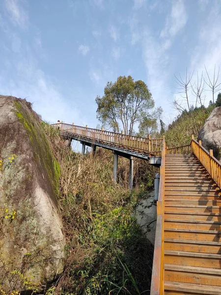 wooden bridge over the river in the forest