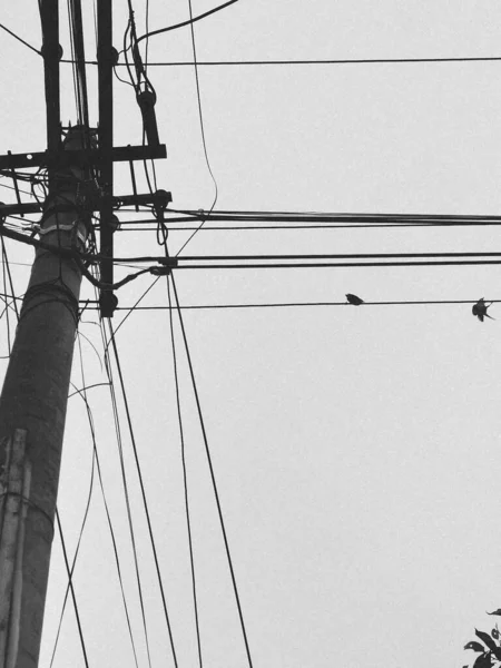 black and white photo of a power ship