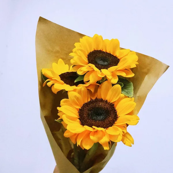 yellow sunflower in a vase on a white background