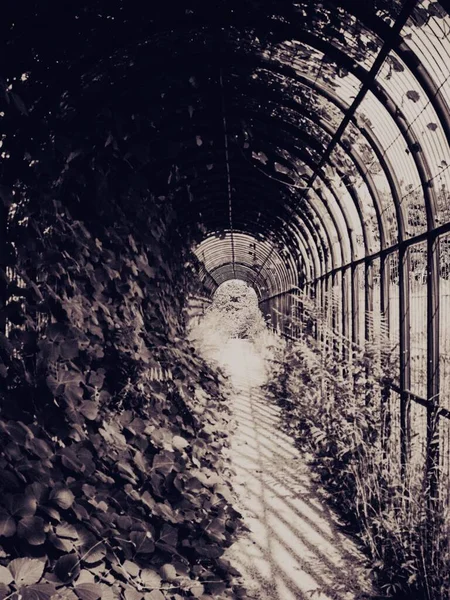 the tunnel of the railway station