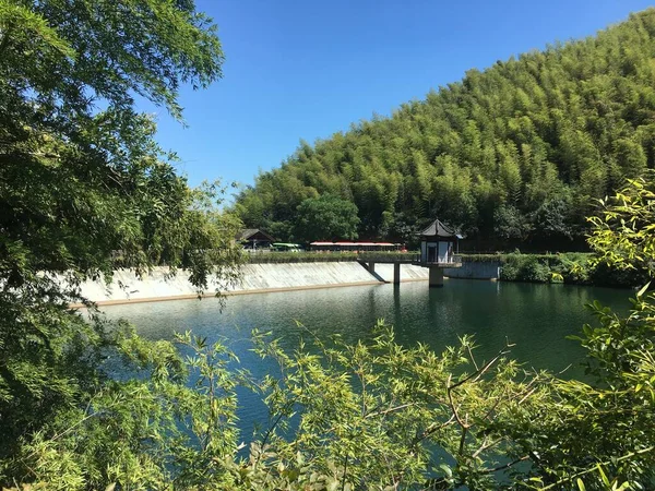 stock image river in the forest