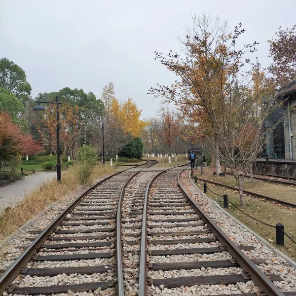railway tracks in the autumn forest