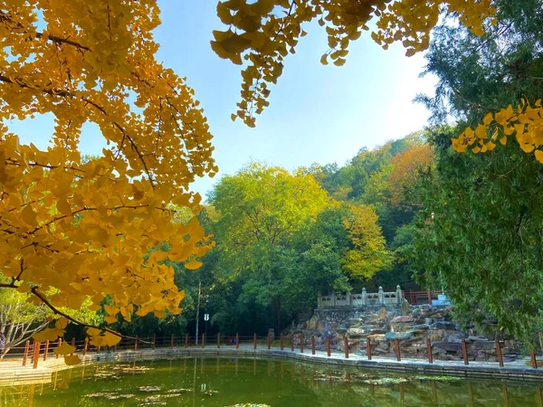 autumn landscape with colorful trees and leaves