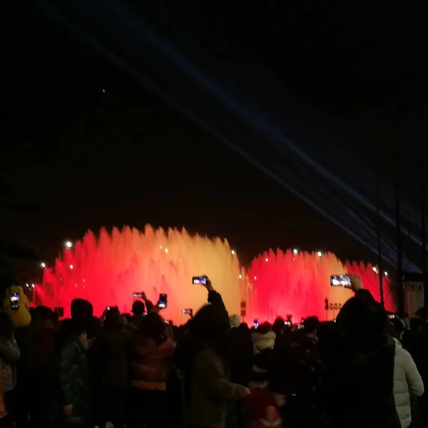 crowd of people at the concert