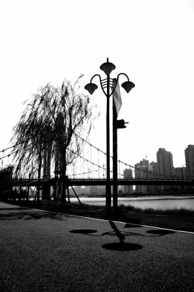 black and white photo of a street lamp