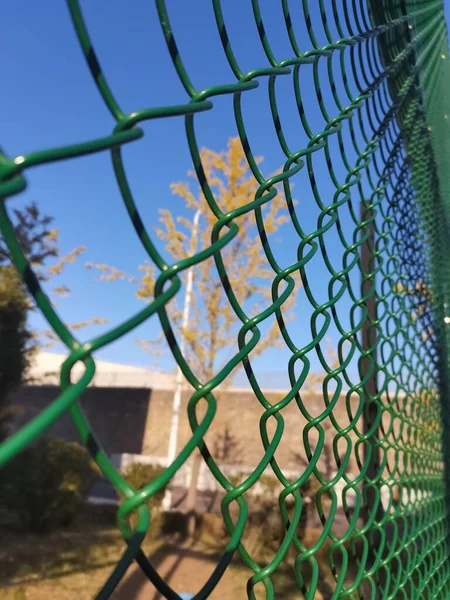 a vertical shot of a fence with a net