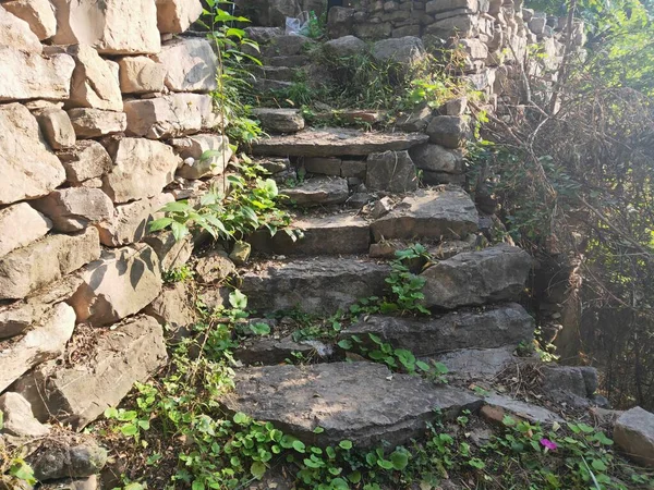 stone stairs in the park