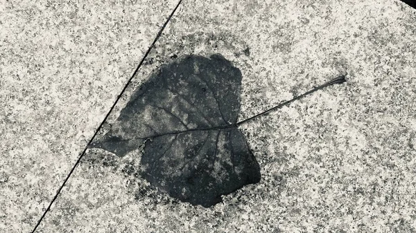 abstract background of a puddle of concrete