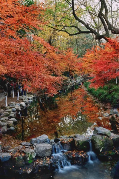 beautiful autumn landscape with colorful leaves