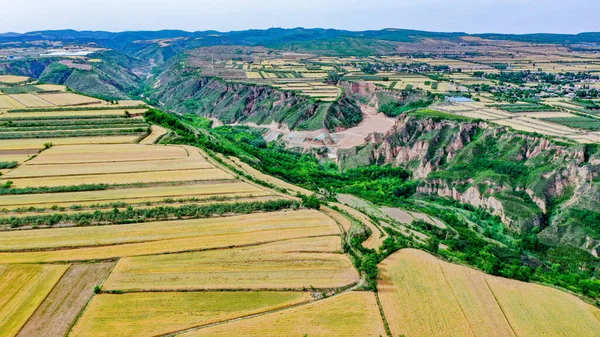 aerial view of the fields of the valley of the village in the summer