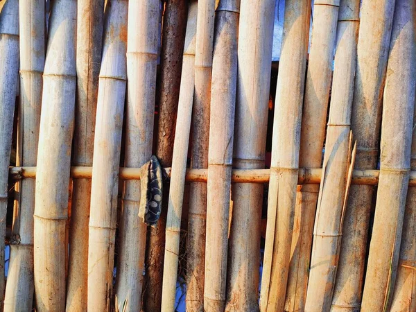 bamboo sticks on a background of a tree