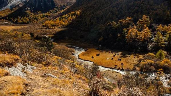 Paisaje Otoñal Con Río Una Cordillera — Foto de Stock