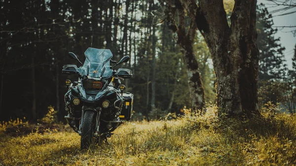 motorcycle rider on the road