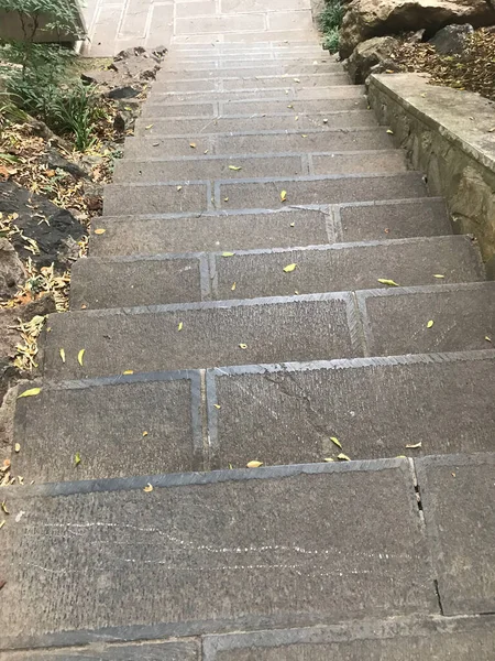 stone stairs in the park