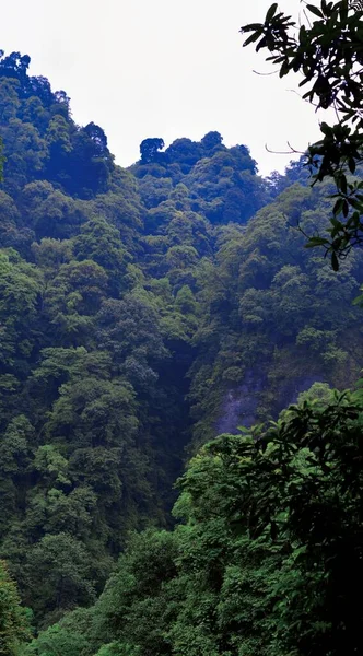 stock image beautiful landscape of the mountains