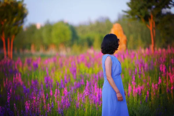 beautiful young woman in a field of lavender flowers
