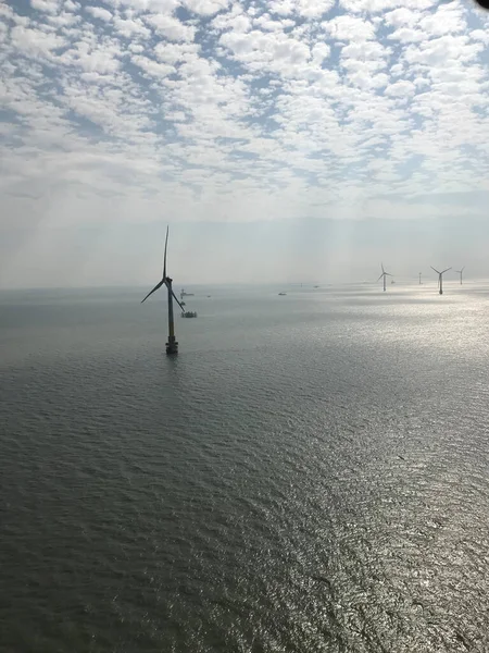 wind turbines on the sea coast