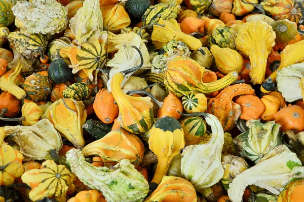 close up of various dried fruits