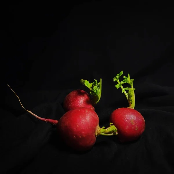 red radish on black background