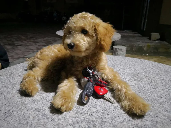 teddy bear with a toy dog