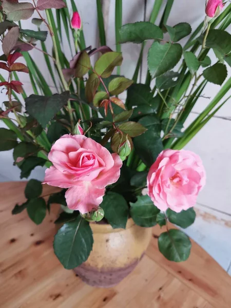 beautiful pink roses in a vase on a wooden background