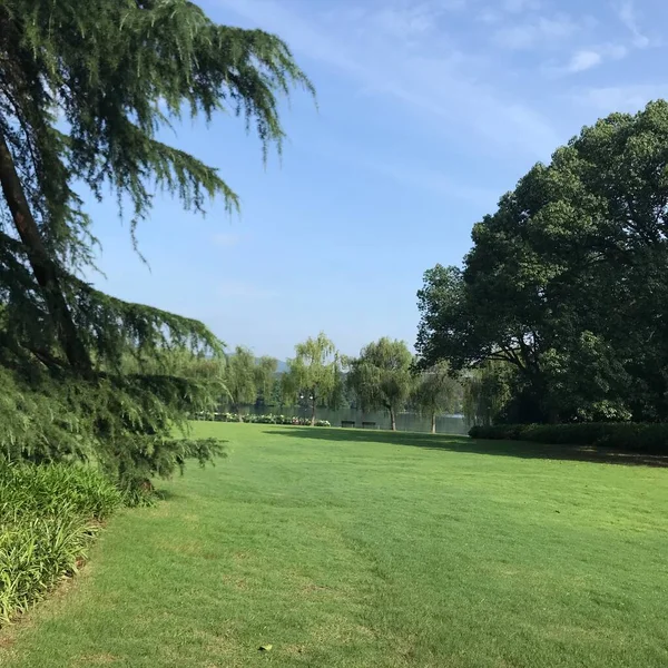 green lawn with trees and blue sky