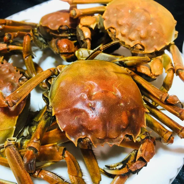 close up of a crab on a white background