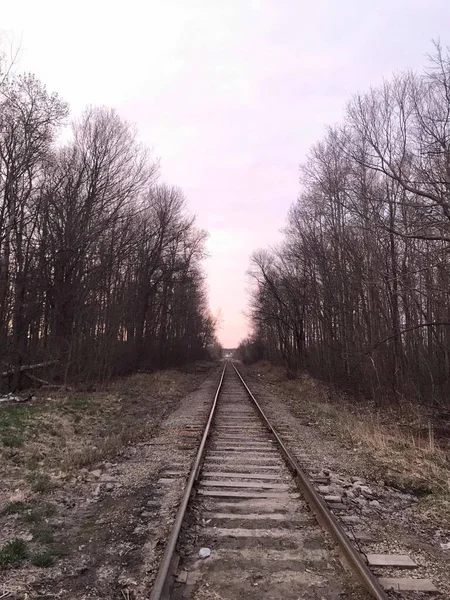 railway tracks on the road