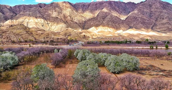 beautiful landscape of the valley of the negev desert in israel