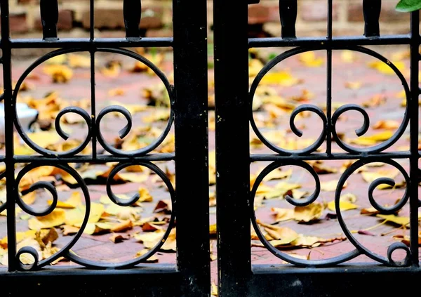 wrought iron gate with forged metal lattice