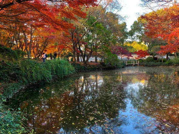 autumn landscape with colorful trees