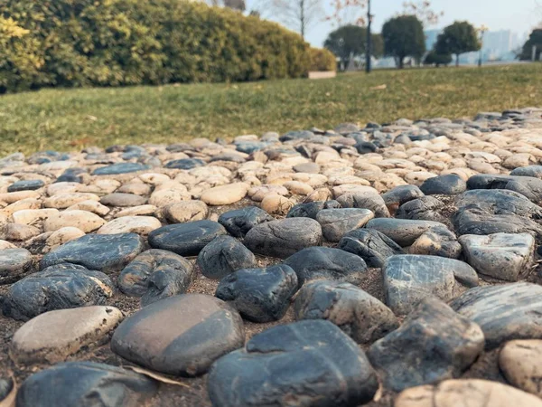 a closeup shot of a pile of stones on a ground