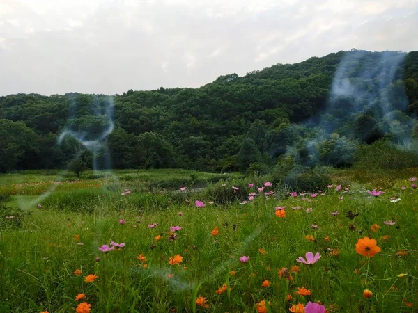 beautiful landscape with a waterfall