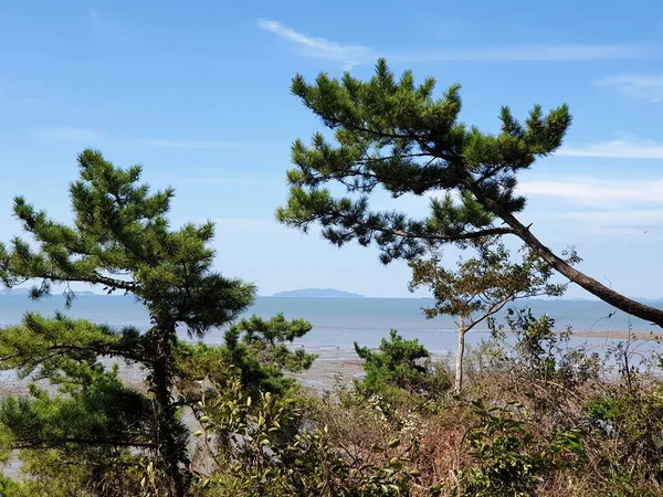 stock image beautiful view of the sea