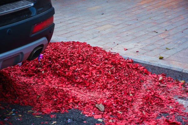 red and white beet on the ground